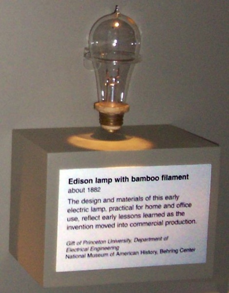 File:Light Bulb Bamboo.jpg